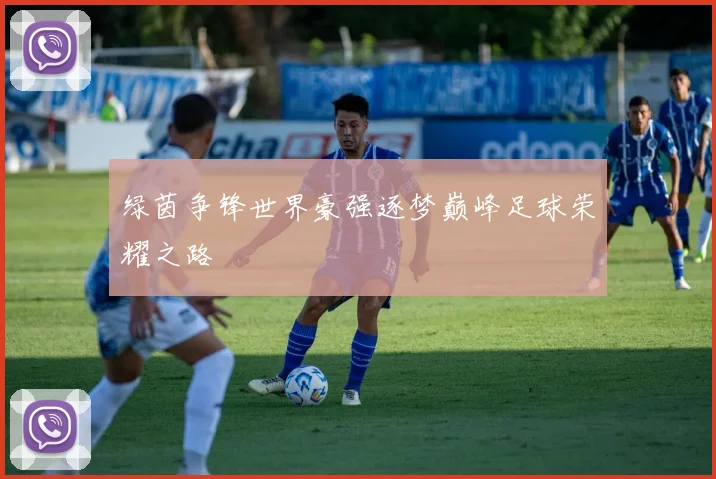 绿茵争锋世界豪强逐梦巅峰足球荣耀之路