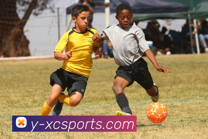 杏彩平台生态图