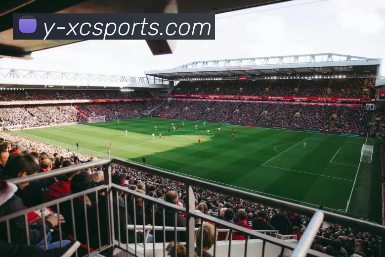 杏彩APP 体育赛事宣传图